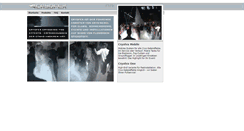 Desktop Screenshot of cryofex.de